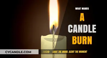 The Science Behind Candle Flames: What Fuels the Burn?