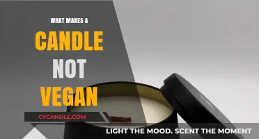 Unveiling Non-Vegan Ingredients in Candles: A Comprehensive Guide