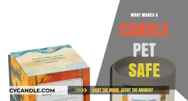 Pet-Safe Candles: Key Ingredients and Tips for a Safe Home