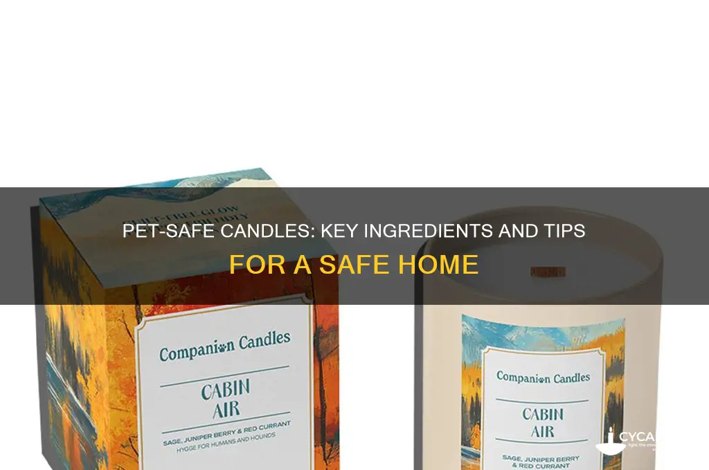 what makes a candle pet safe