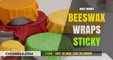 Why Beeswax Wraps Stick: The Science Behind Their Adhesive Magic
