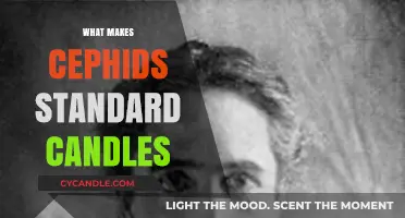 Understanding Cepheids: The Cosmic Standard Candles Illuminating the Universe