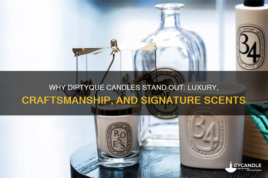 what makes diptyque candles special