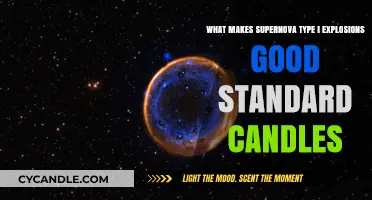 Why Type Ia Supernovae Are Reliable Cosmic Distance Markers
