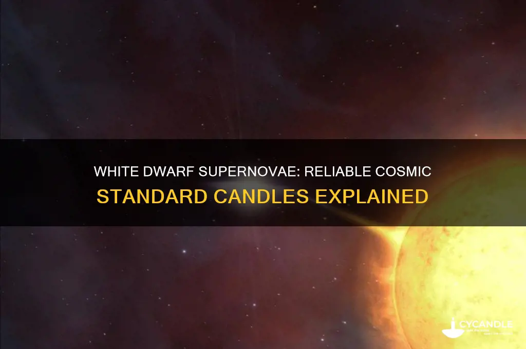 what makes white dwarf supernovae good standard candles