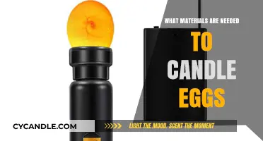 Essential Supplies for Candling Eggs: A Beginner’s Material Guide