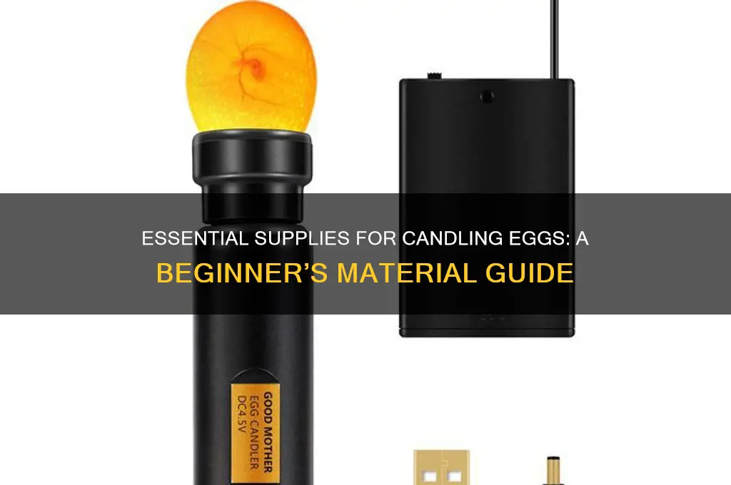 what materials are needed to candle eggs