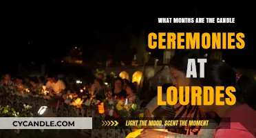 Candlelit Nights at Lourdes: Discover the Sacred Ceremony Months