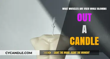 Muscles Involved in Blowing Out a Candle: A Surprising Breakdown