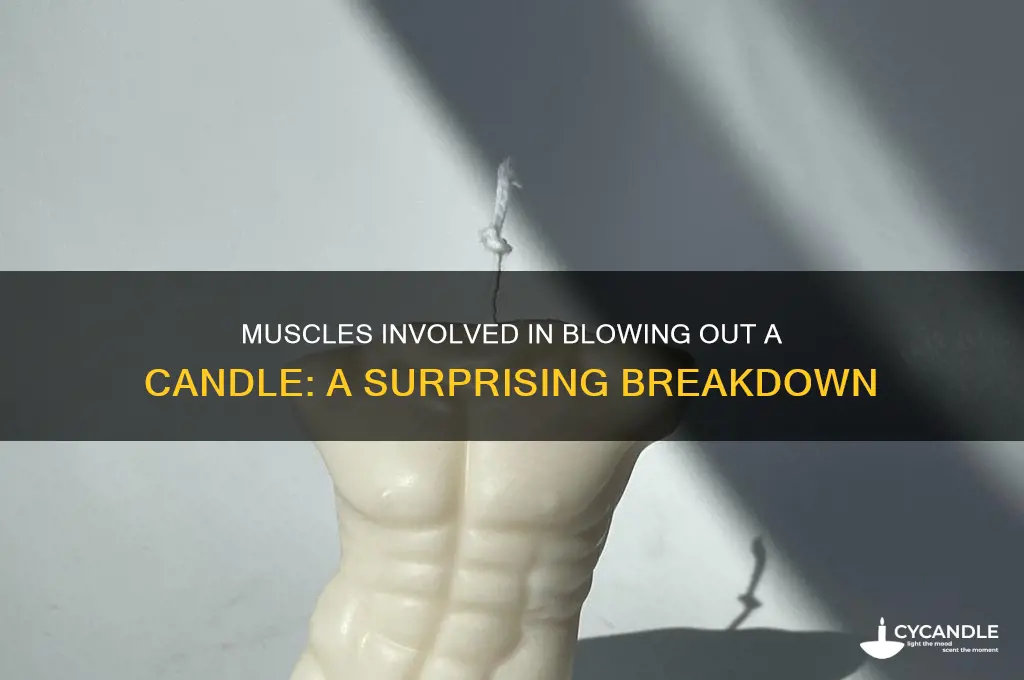 what muscles are used while blowing out a candle