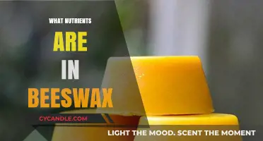 Discover the Surprising Nutrients and Benefits Hidden in Beeswax