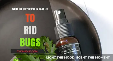 Natural Bug Repellent Candles: Best Oils to Keep Pests Away