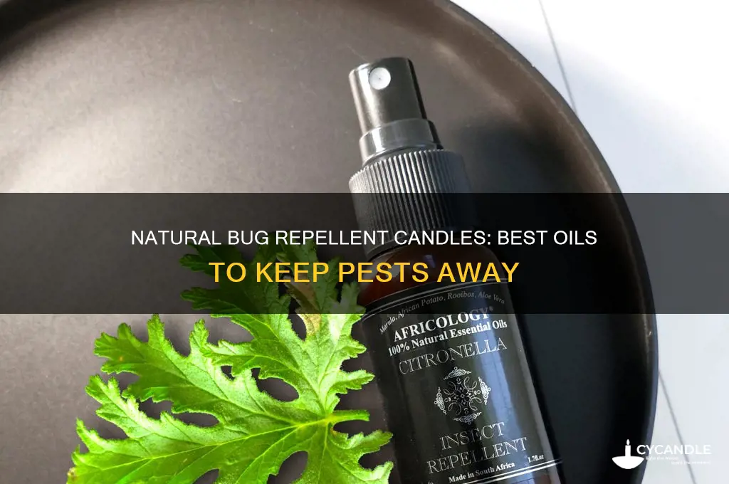 what oil do you put in candles to rid bugs