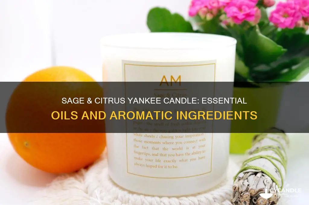 what oils are in sage & citrus yanke candle