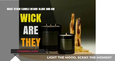 Discover Unique Candle Brands Beyond Glade and Air Wick