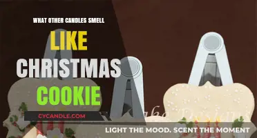 Warm and Cozy Scents: Candles That Smell Like Christmas Cookies