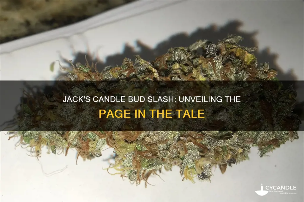 what page does jack slashed the green candle buds