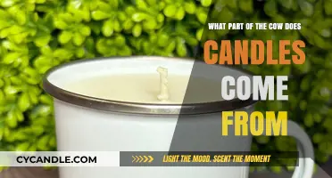 Unveiling the Surprising Cow-Derived Wax in Candles: A Guide