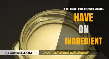 Patent Protection for Pet Odor Candles: Key Ingredients Explained