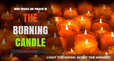 Exploring the Phases of a Burning Candle: From Ignition to Extinction