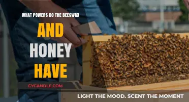 Unlocking Nature's Secrets: Beeswax and Honey's Remarkable Powers and Benefits