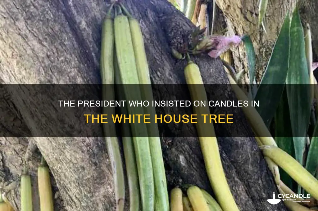what president insisted on candles on the tree