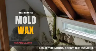 Effective Ways to Remove Mold with Wax: A Comprehensive Guide