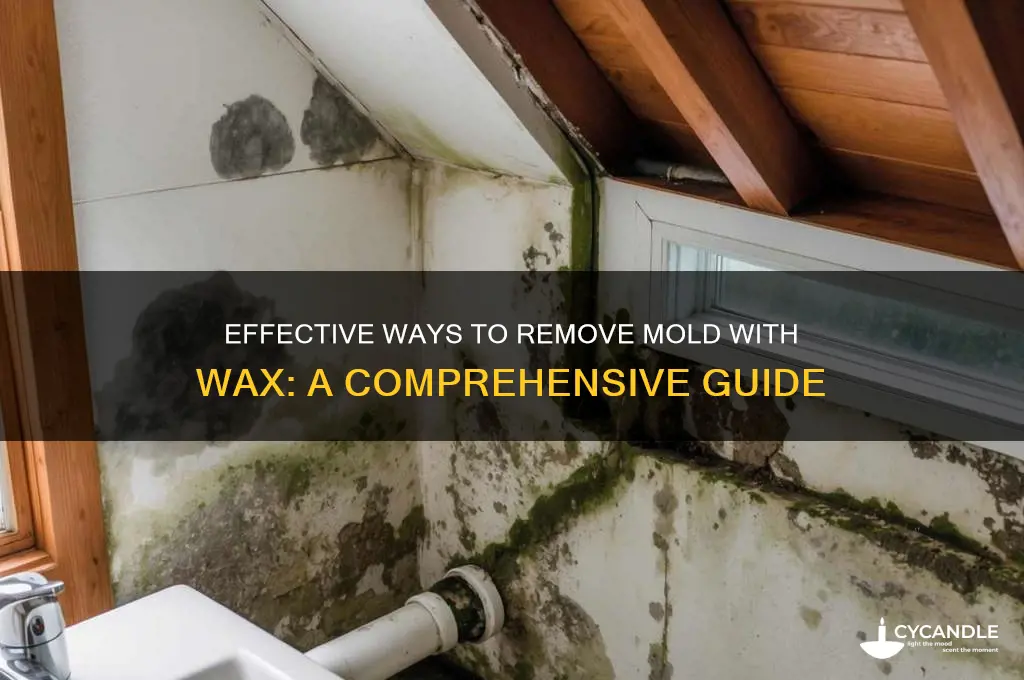 what removes mold wax