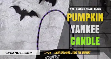Velvet Black Pumpkin Yankee Candle: Unveiling the Scene and Scent