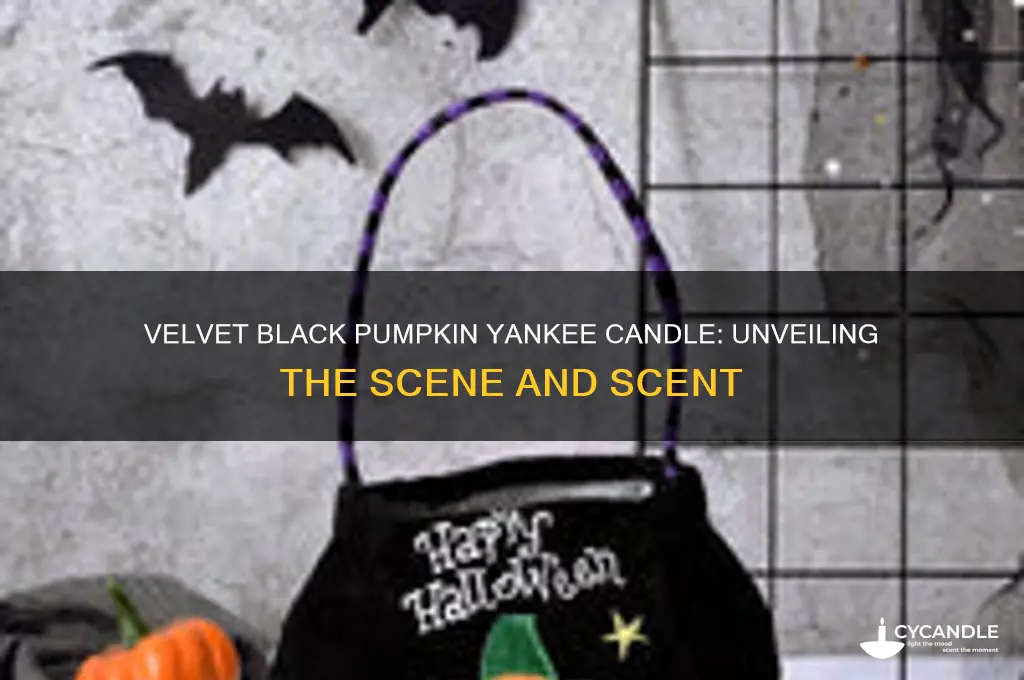 what scene is velvet black pumpkin yankee candle