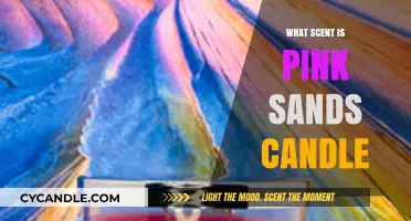 Discover the Tropical Aromatic Notes of Pink Sands Candle