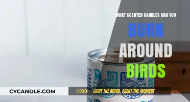 Bird-Safe Scents: Choosing Candles That Won’t Harm Your Feathered Friends