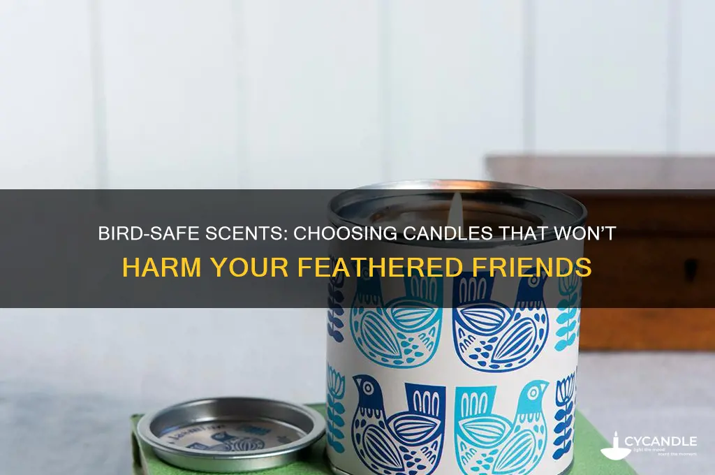 what scented candles can you burn around birds