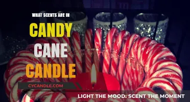 Candy Cane Candle Scents: Unwrapping the Festive Aromas Inside