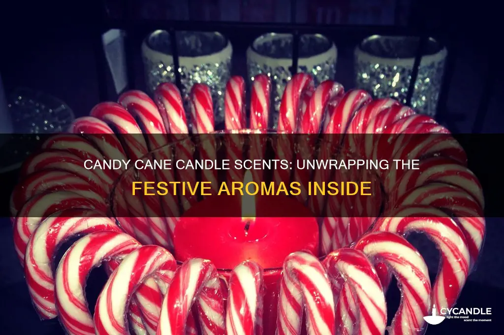 what scents are in candy cane candle