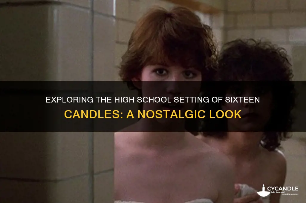 what school did sixteen candles take place