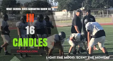 Samantha Baker's High School: Unveiling the Setting of '16 Candles
