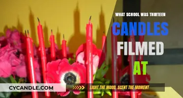 Unveiling the School Location of 'Thirteen Candles' Film Set
