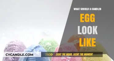 Candled Egg Appearance: What to Look for in Fresh Eggs