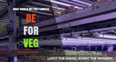 Optimal Foot Candles for Veg Growth: A Comprehensive Lighting Guide