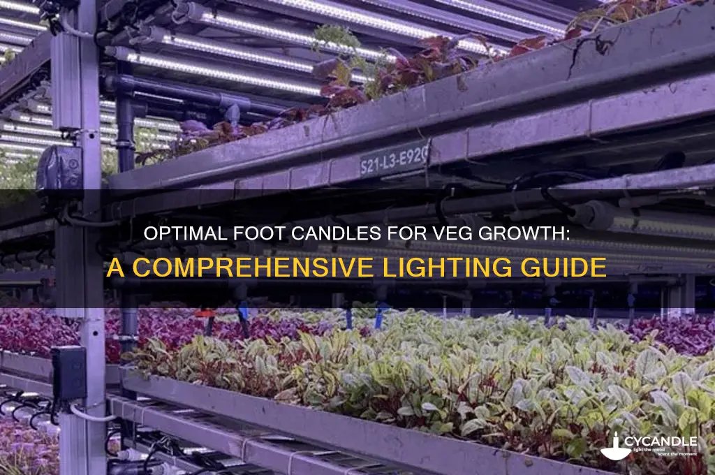 what should my foot candles be for veg