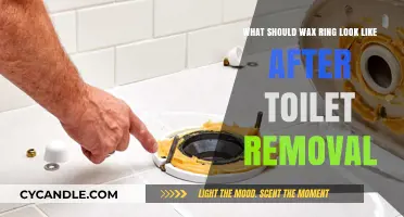 Inspecting Your Wax Ring Post-Toilet Removal: What to Expect