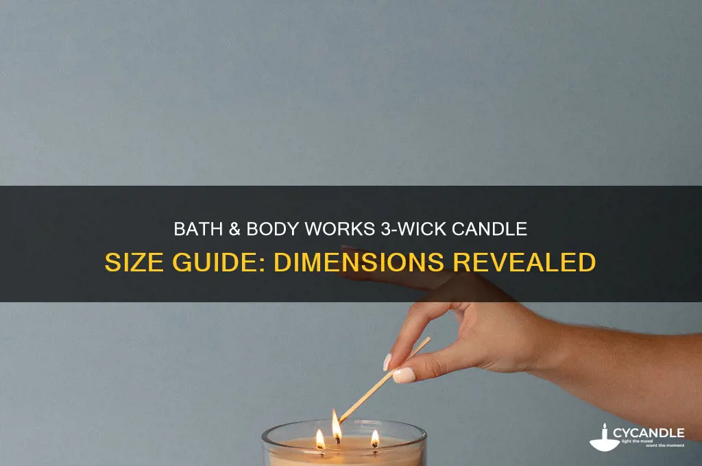 what size are bath and body works 3 wick candles