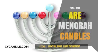 Choosing the Right Menorah Candles: Size Guide for Perfect Fit