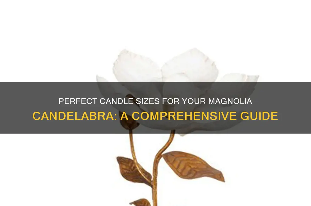 what size of candle for the magnolia candelabra