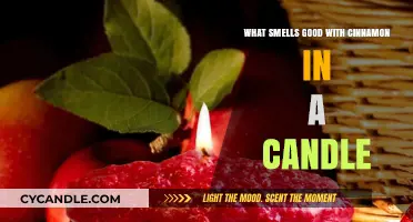 Cinnamon Candles: Spicy Scents for a Cozy Home