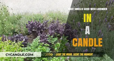 Create a Soothing Scented Space with Lavender and ..