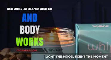 Sea Spray Scent: Unveiling Bath & Body Works' Coastal Candle Charm