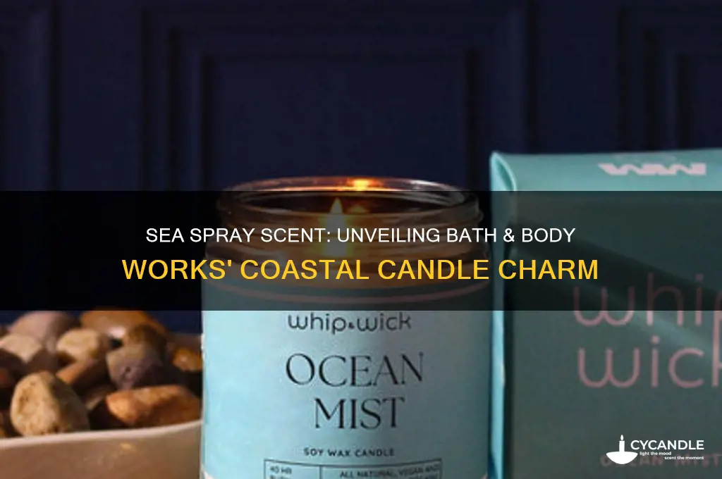 what smells like sea spray candle bah and body works