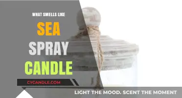 The Ocean Breeze: Sea Spray Candle Fragrances